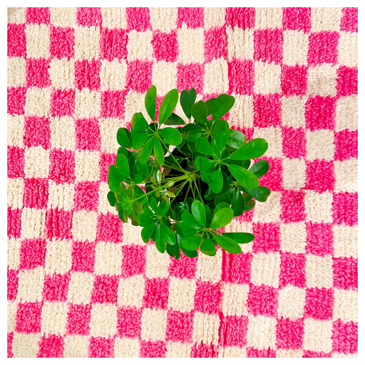 Damier rose - Tapis berbère Médium