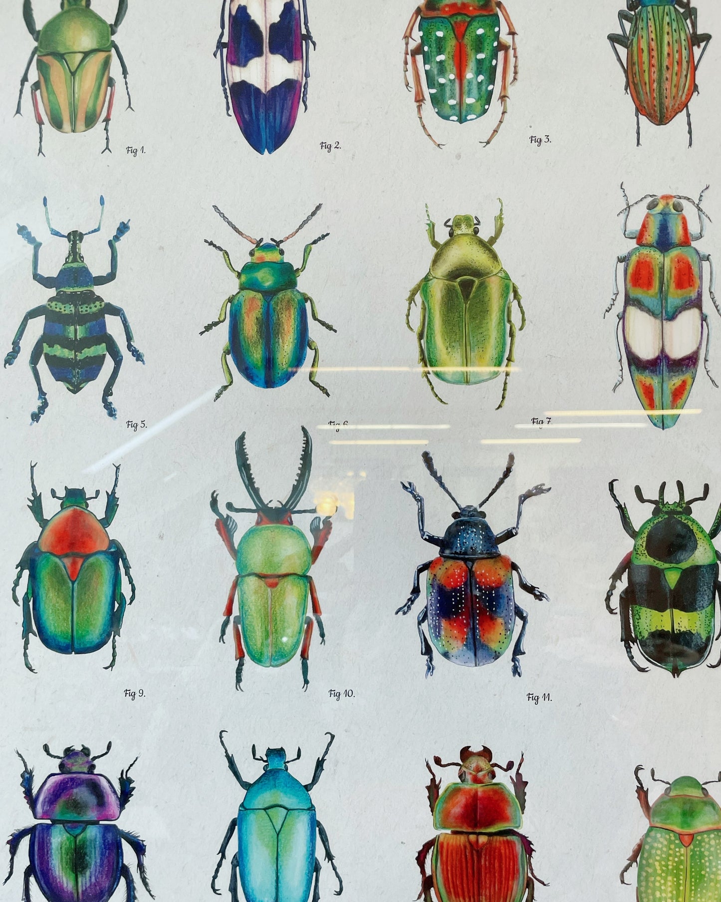 Illustration Maison Paula - 50x70cm encadrée