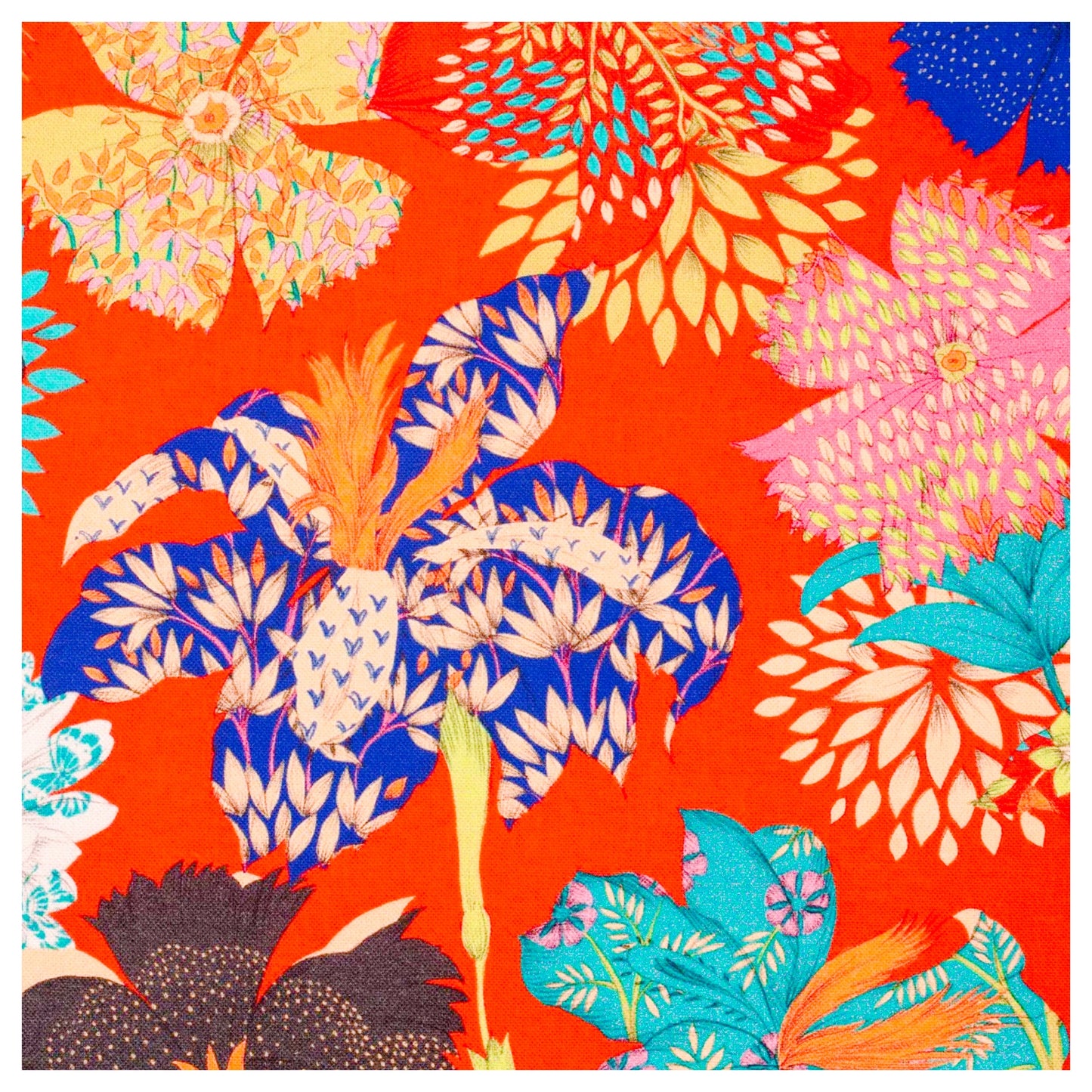KIMONO Rouge