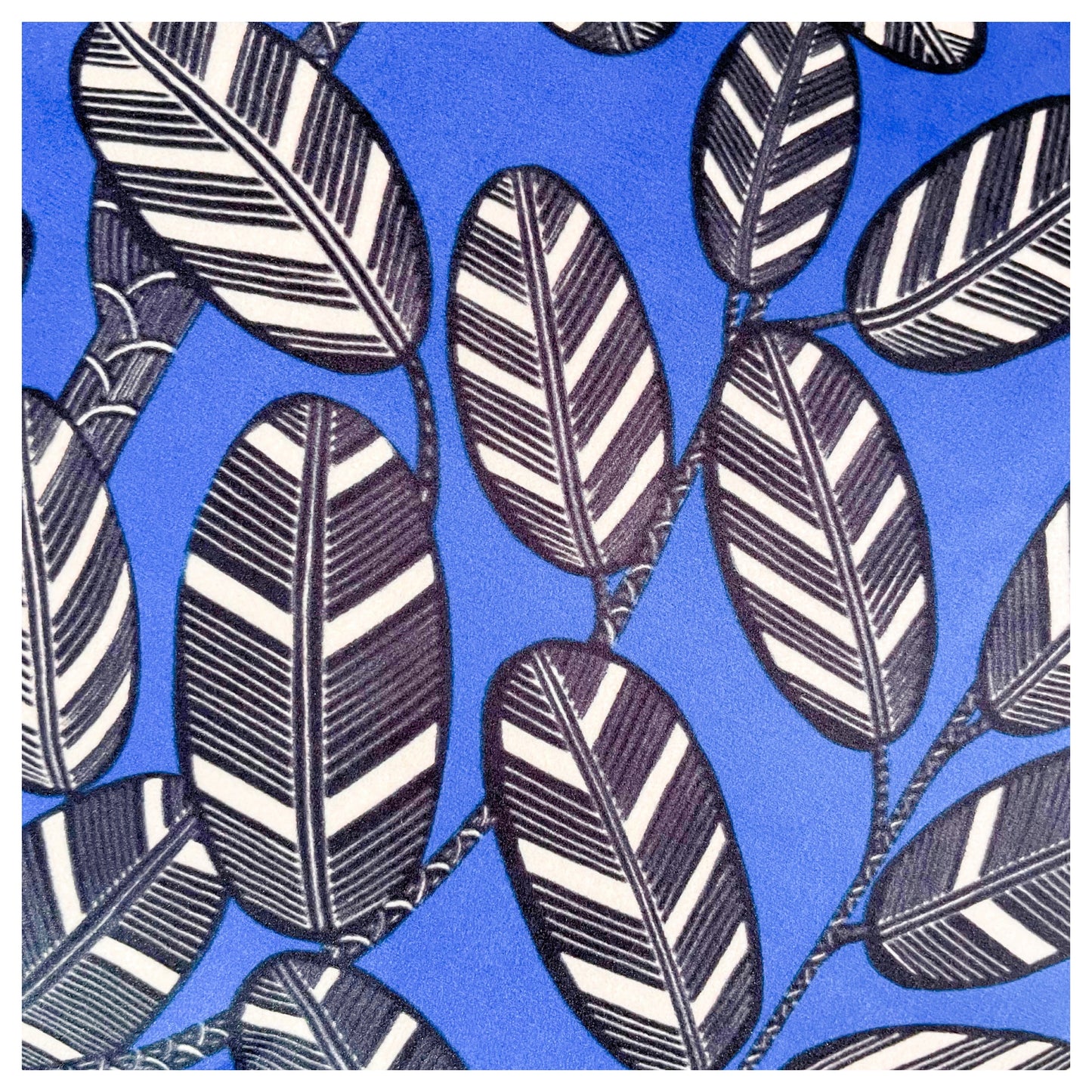 AMAZONE velours bleu vif
