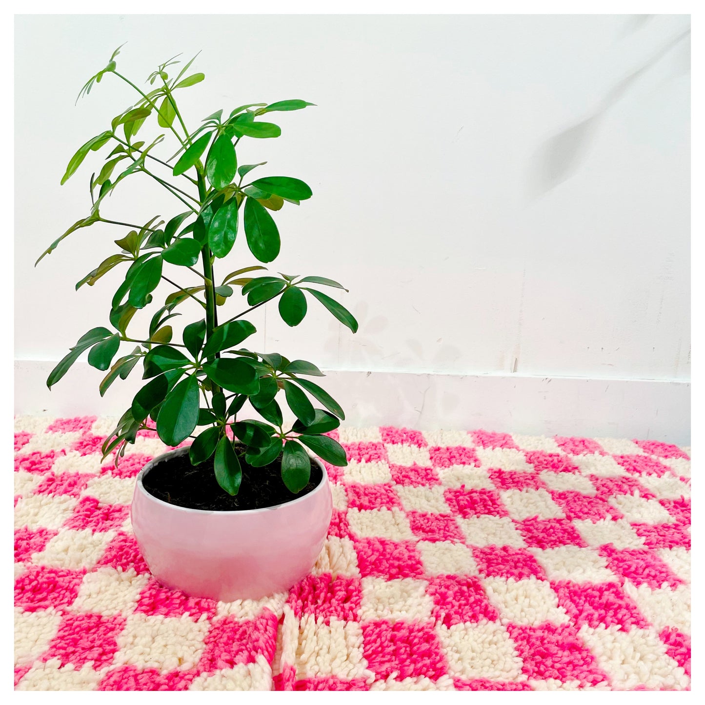 Damier rose - Tapis berbère Médium