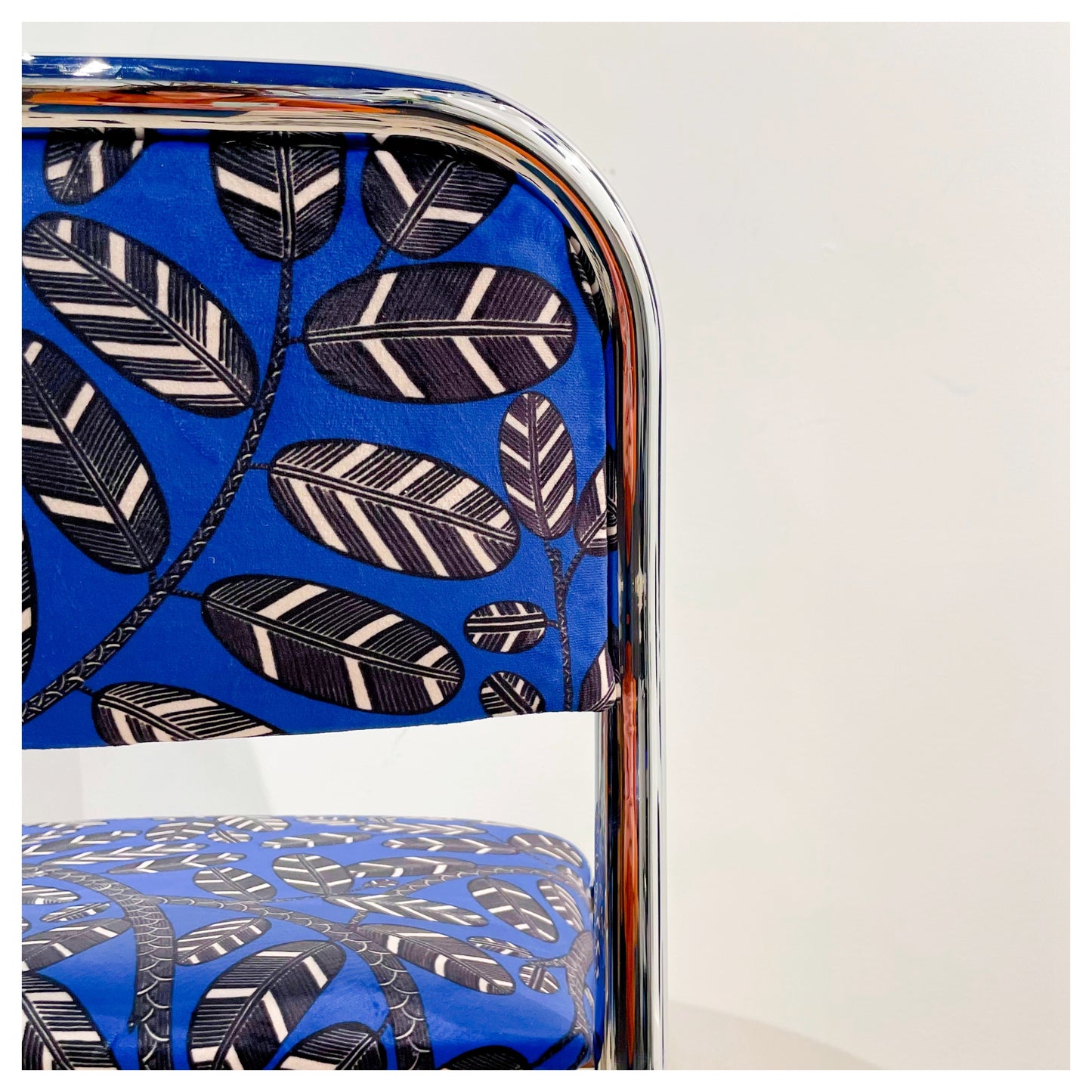 AMAZONE velours bleu vif