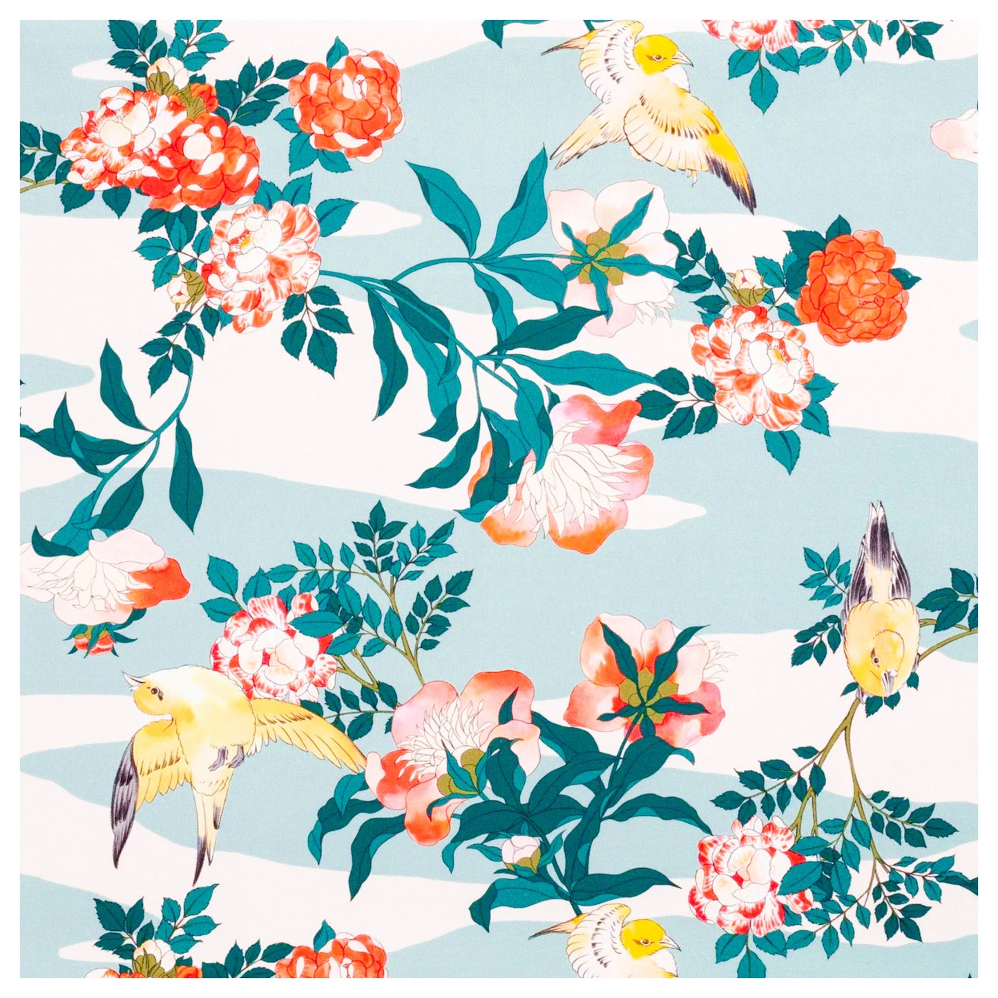 BIRDY - Coton