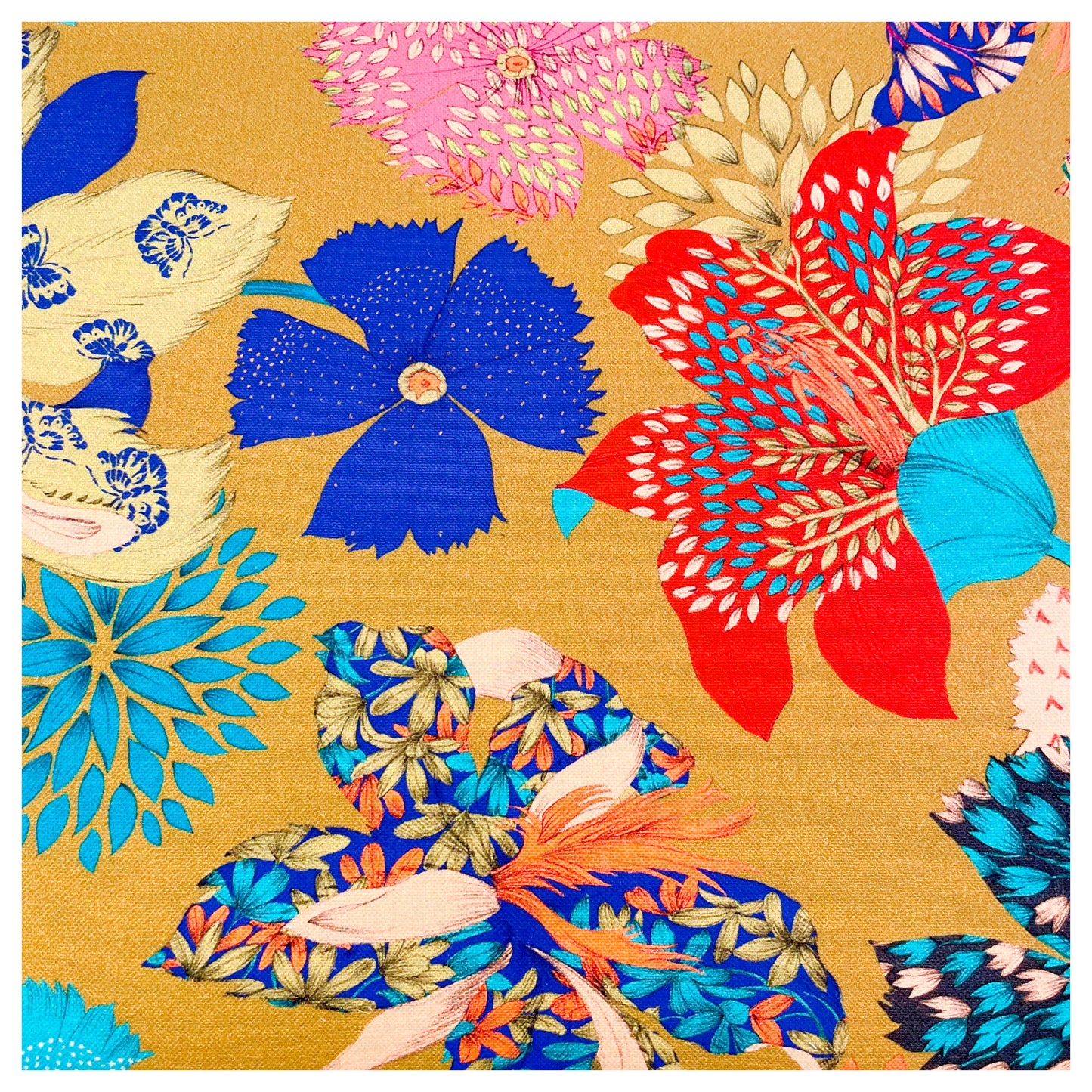 KIMONO OR-KAKI
