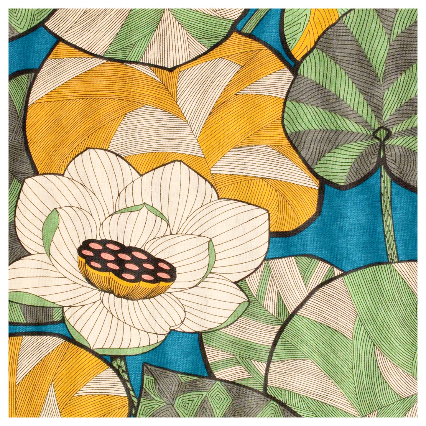 NĂ©nuphar