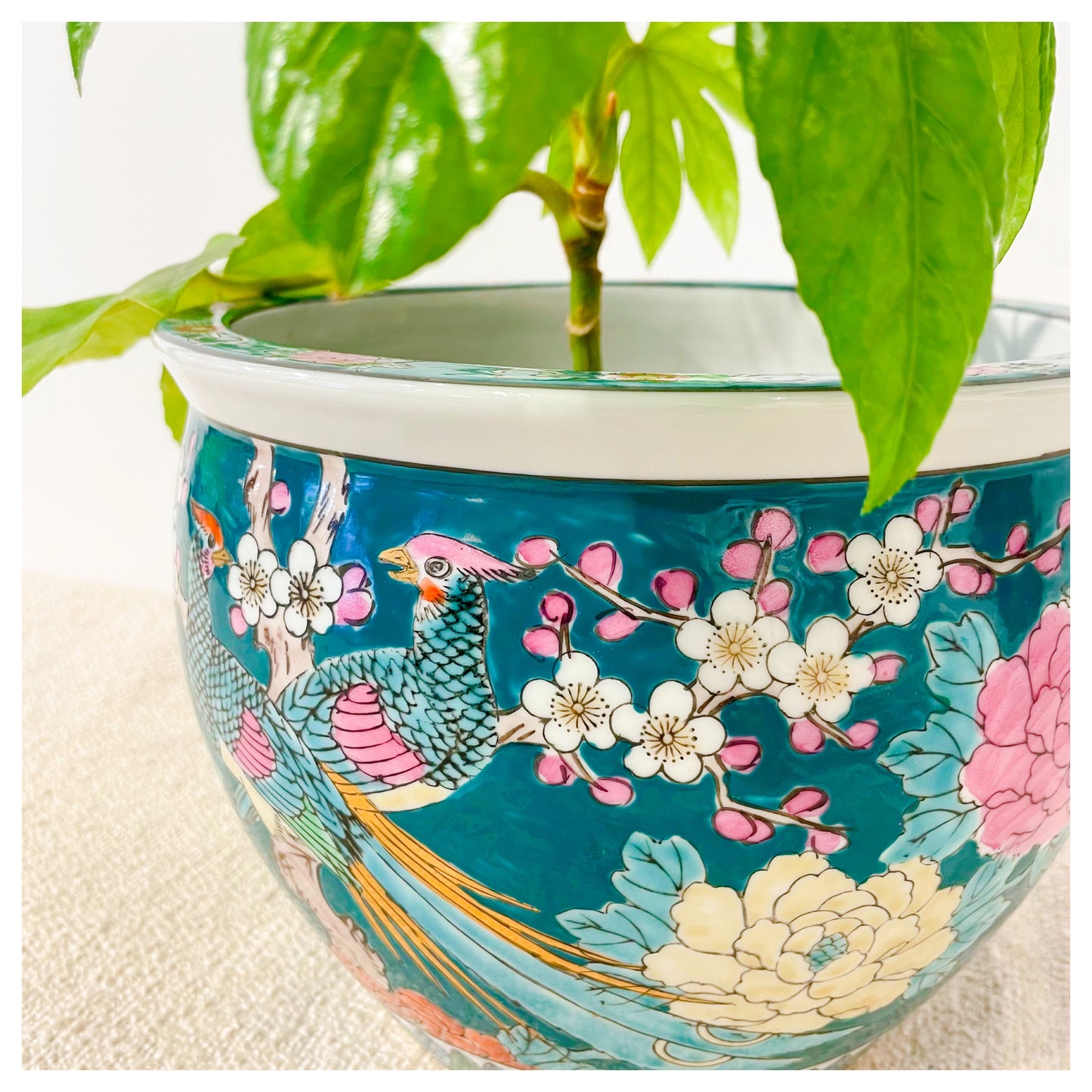 POT BIG IN JAPAN