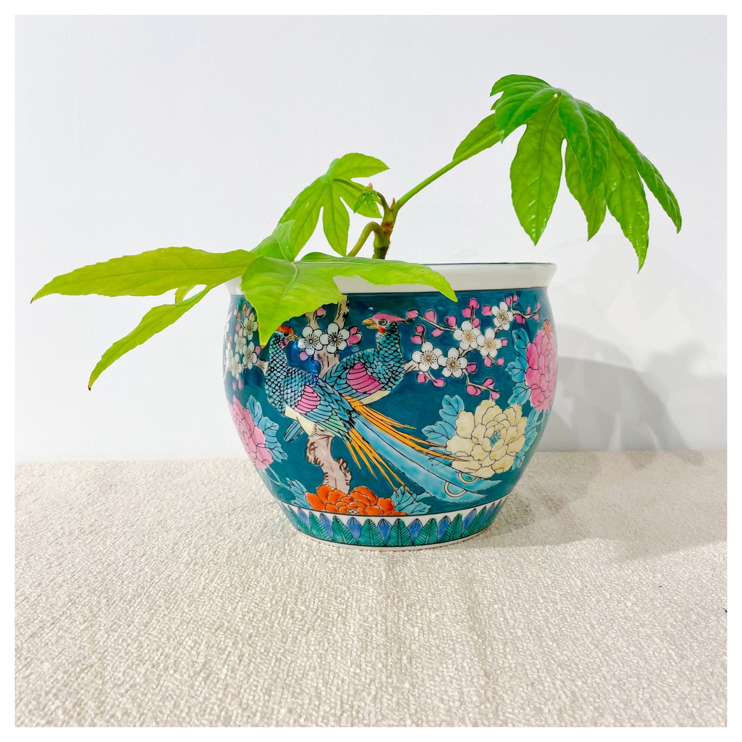 POT BIG IN JAPAN