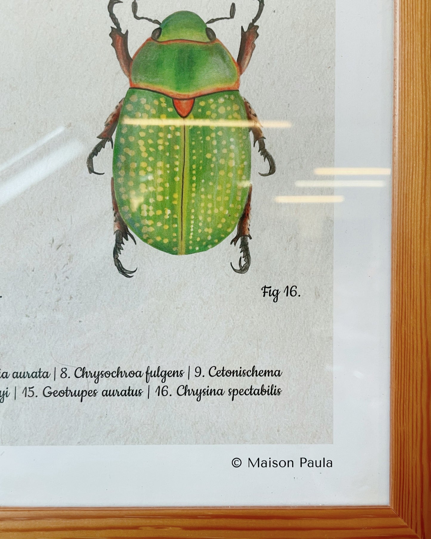 Illustration Maison Paula - 50x70cm encadrée