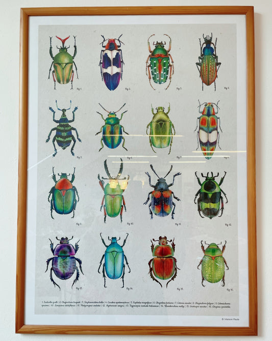 Illustration Maison Paula - 50x70cm encadrée