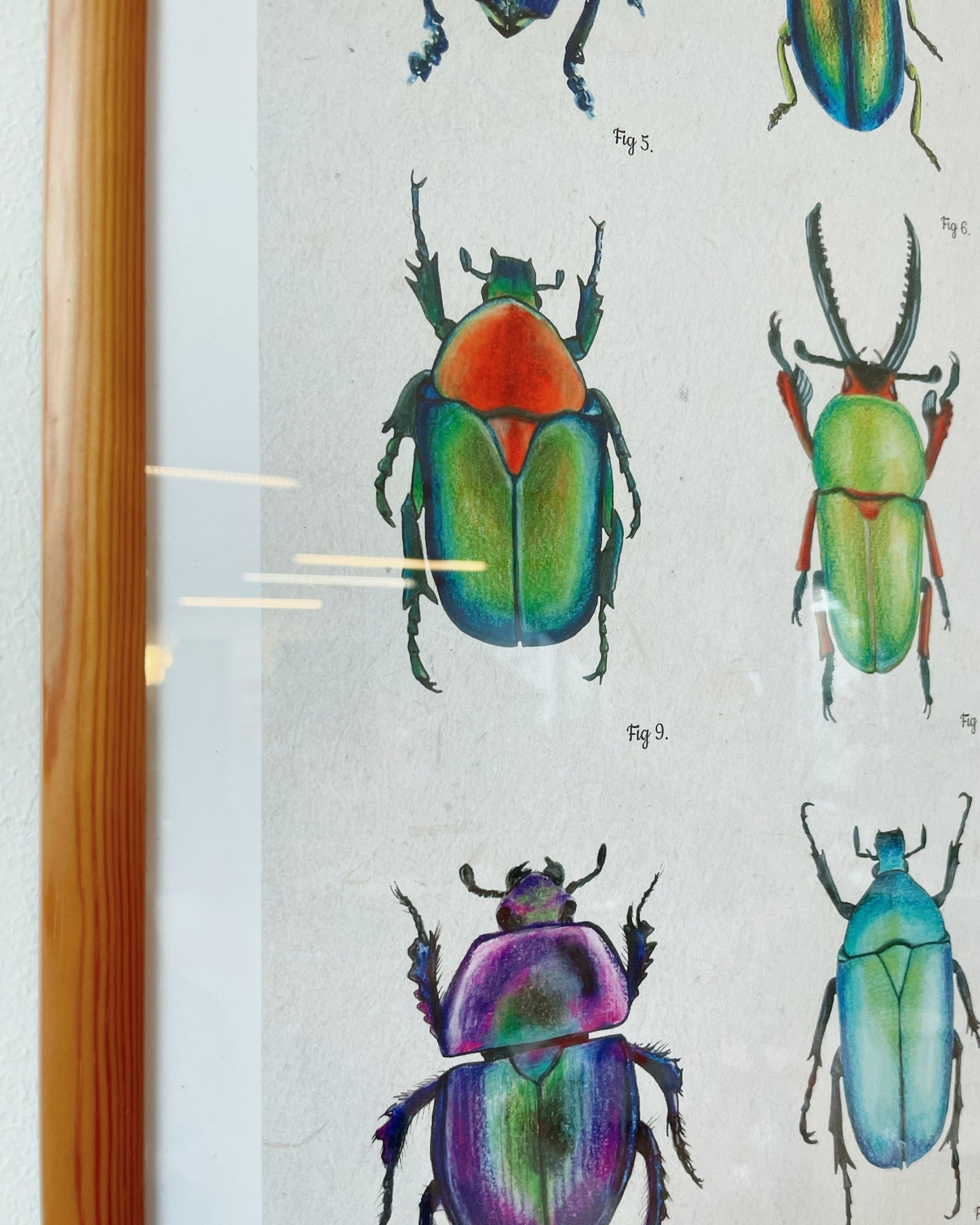 Illustration Maison Paula - 50x70cm encadrée